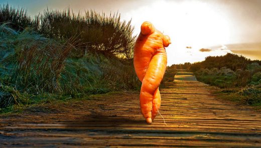 carota semi umana che cammina
